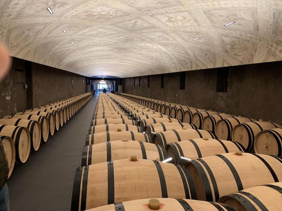 Studio Confortable Aux Portes De Bordeaux Et Medoc Ludon-Médoc Exterior foto